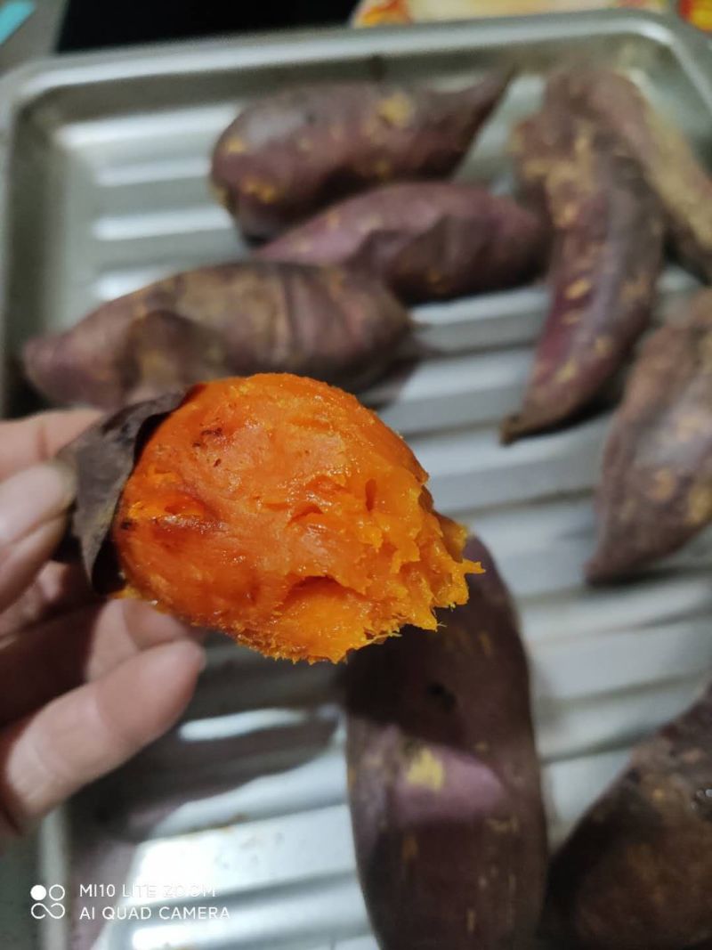 山东红薯烟薯西瓜红现货产地直销大量供应