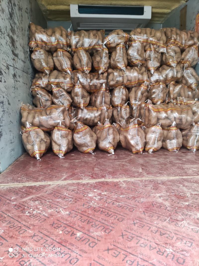 山东红薯烟薯西瓜红现货产地直销大量供应