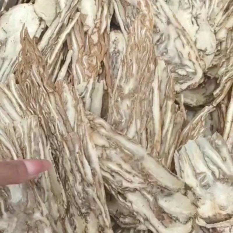 中心片佛手当归统装500g产地山东振兴药材购销站