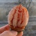 正宗富平柿饼