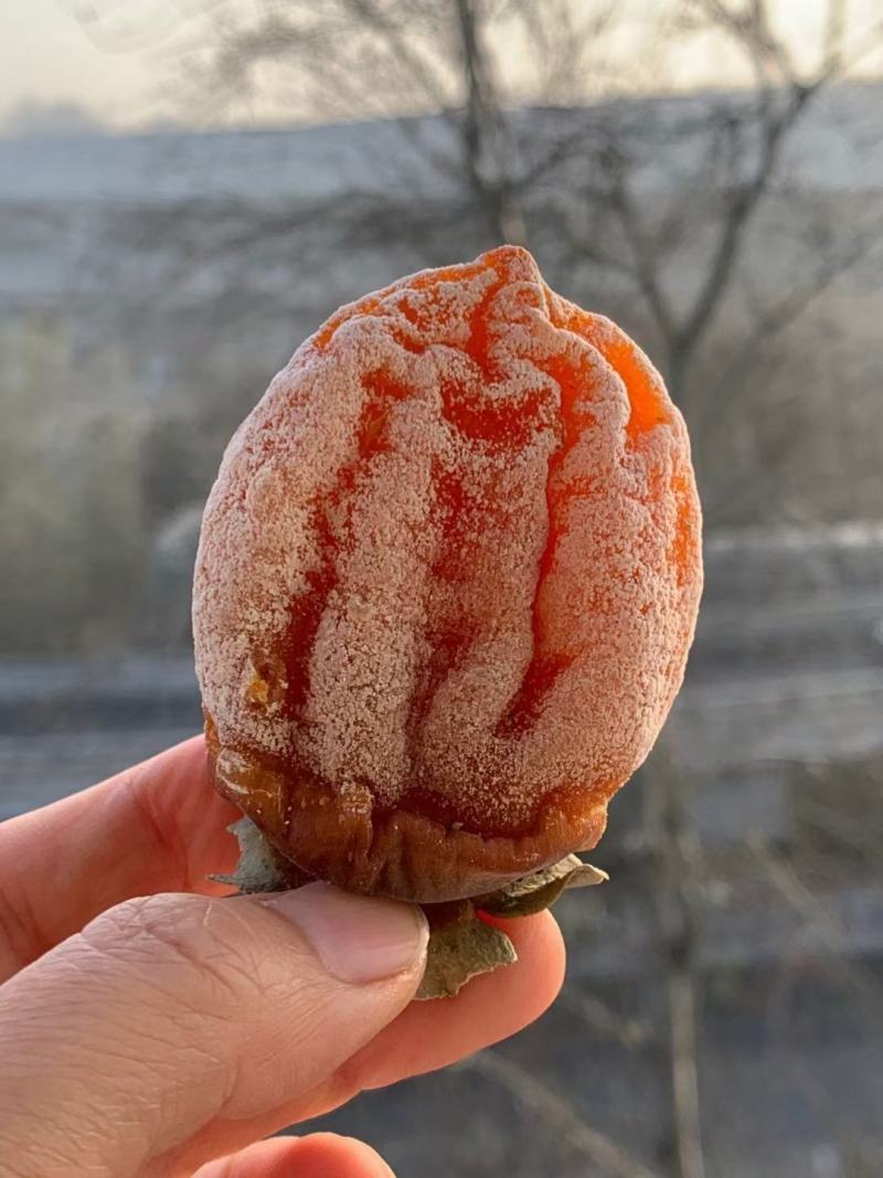 正宗富平柿饼