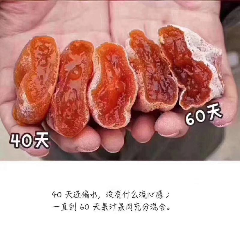 正宗富平柿饼
