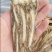 中心片佛手当归统装500g产地山东振兴药材购销站