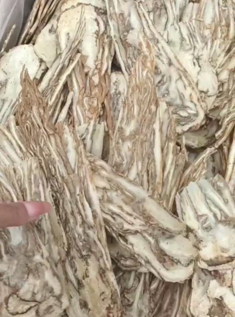 中心片佛手当归统装500g产地山东振兴药材购销站