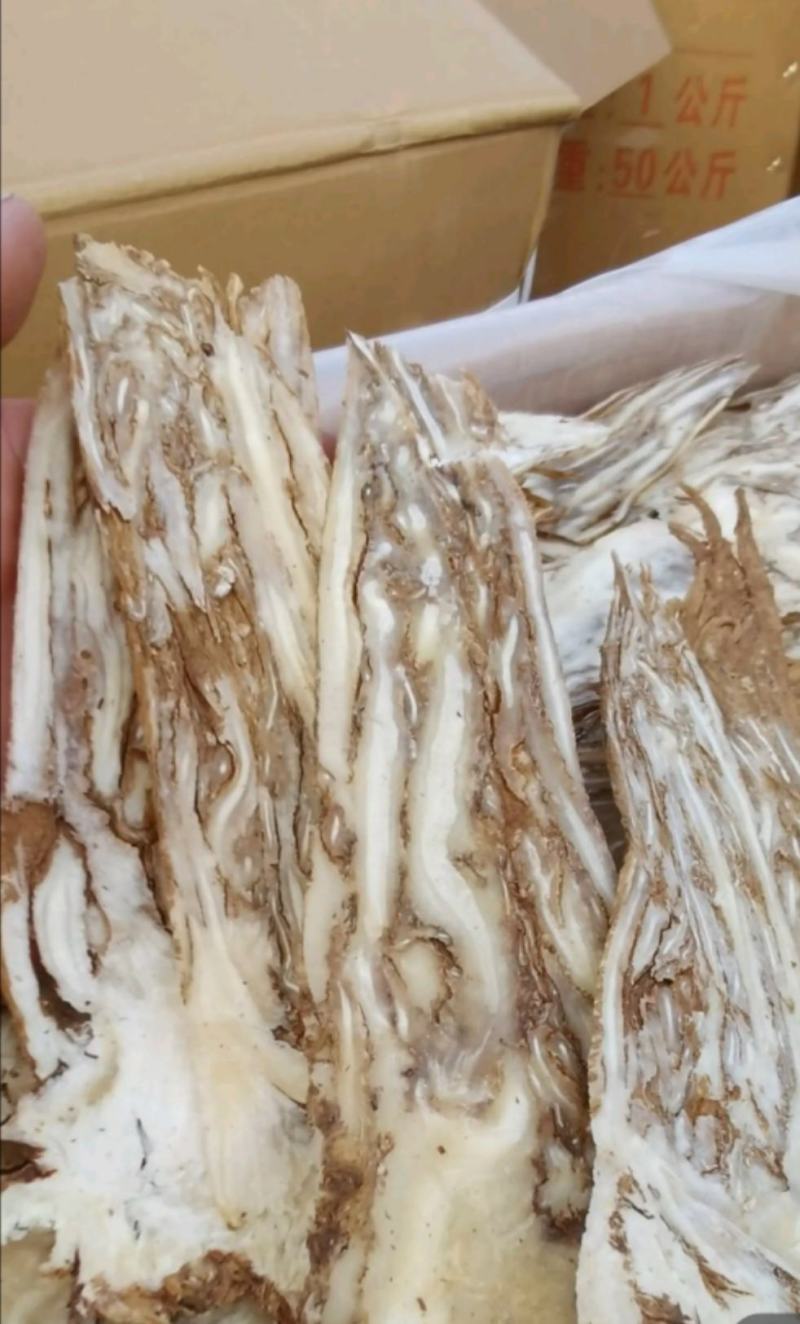 中心片佛手当归统装500g产地山东振兴药材购销站