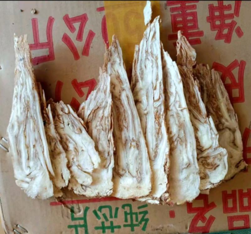 中心片佛手当归统装500g产地山东振兴药材购销站