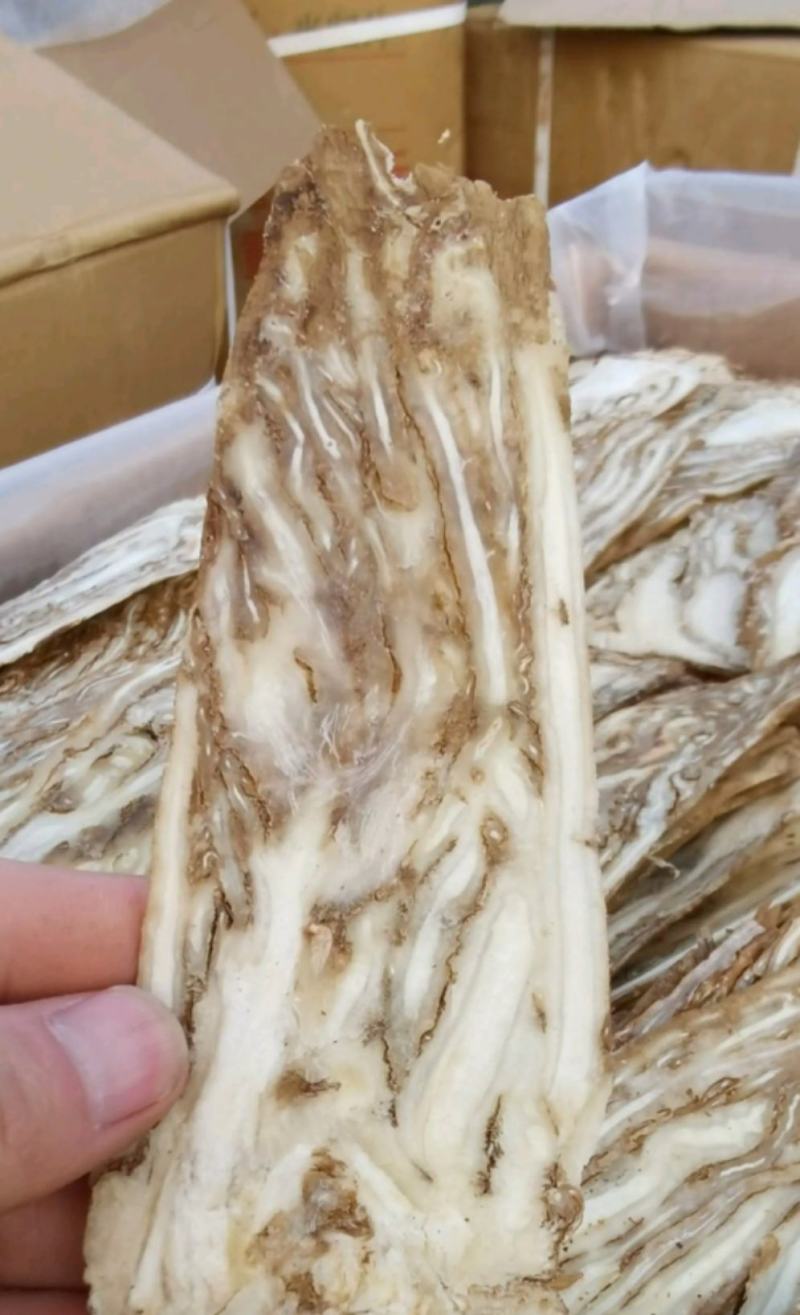 中心片佛手当归统装500g产地山东振兴药材购销站