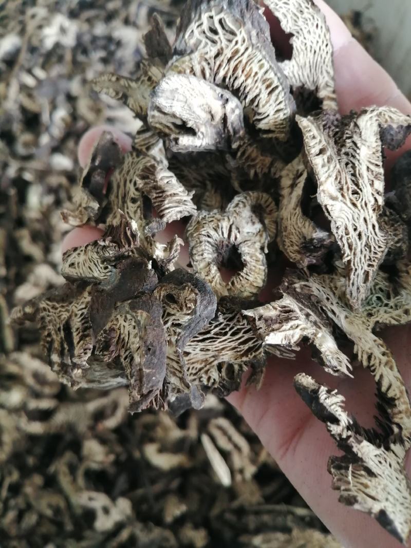 升麻内蒙中药材升麻经营各种规格中药材一公斤起批不包邮