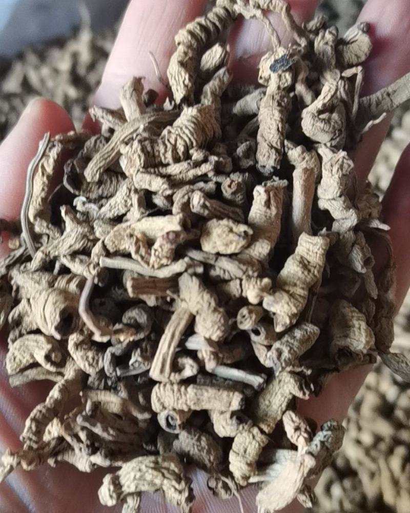 巴戟肉天巴戟巴戟天去芯中药材一公斤起批