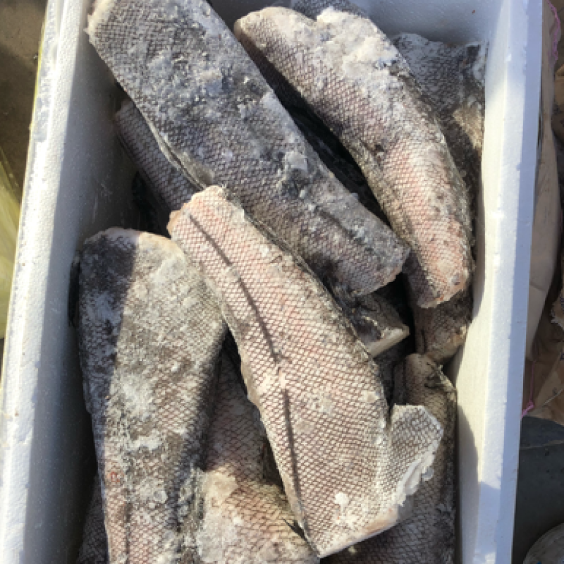 鳕鱼原料整条鳕鱼板冻整条鳕鱼一件40斤装