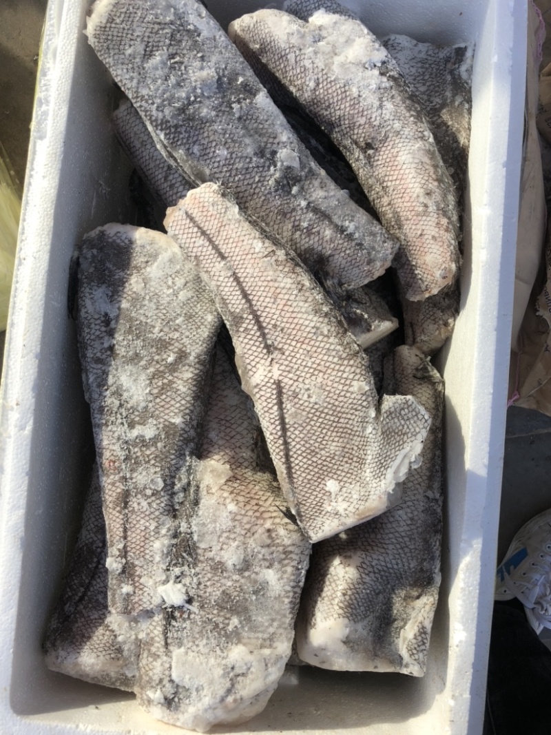 鳕鱼原料整条鳕鱼板冻整条鳕鱼一件40斤装