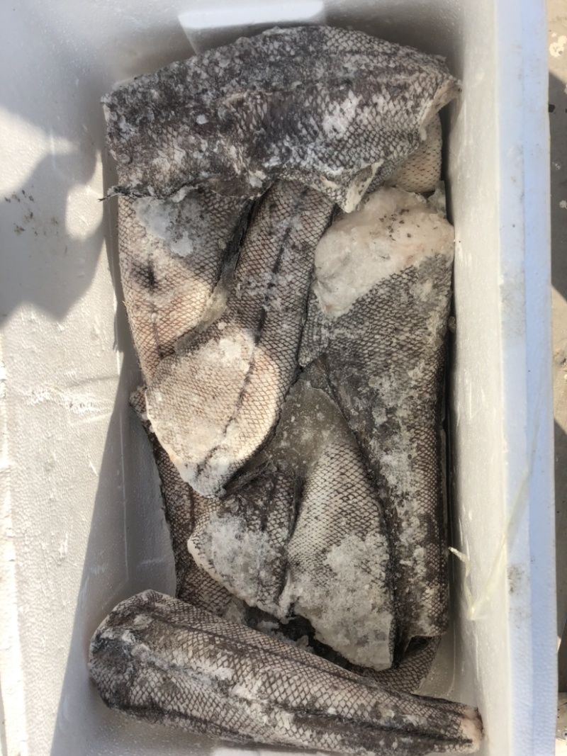 鳕鱼原料整条鳕鱼板冻整条鳕鱼一件40斤装