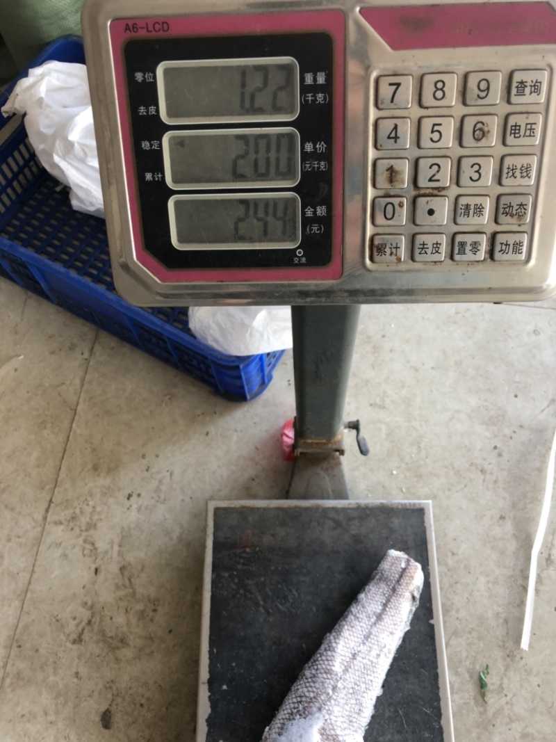 鳕鱼原料整条鳕鱼板冻整条鳕鱼一件40斤装