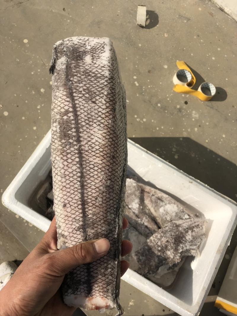 鳕鱼原料整条鳕鱼板冻整条鳕鱼一件40斤装