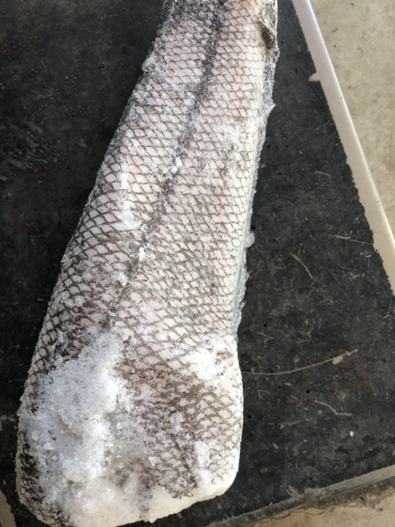 鳕鱼原料整条鳕鱼板冻整条鳕鱼一件40斤装
