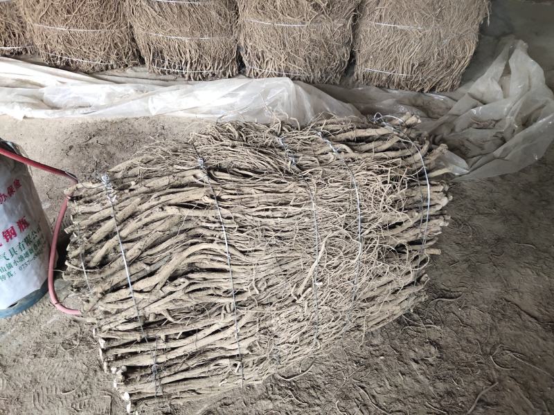 【热卖中】湖北川牛膝大量有货产地直发保质保量欢迎实地考察
