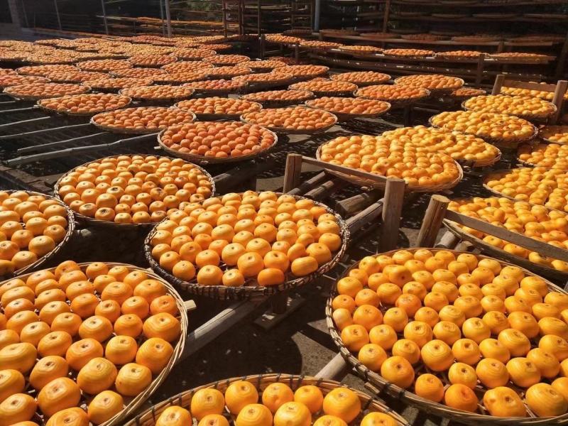 【纯甜不涩】桂林柿饼新鲜晾晒吊饼特级柿饼一件代发批发包邮