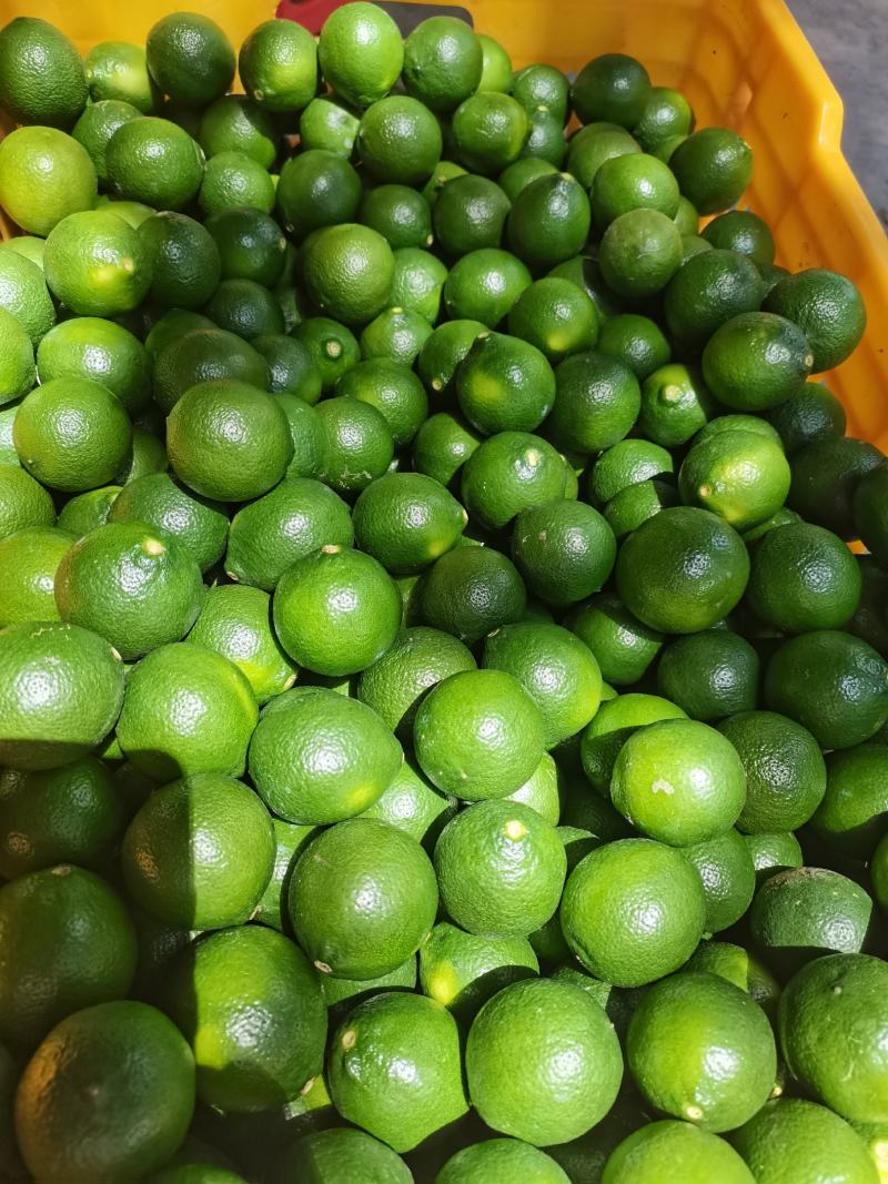 有籽青柠檬，陆续有货，需要的欢迎来撩