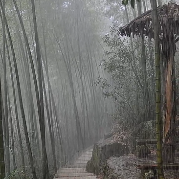 求购江西境内，荒山，山地，