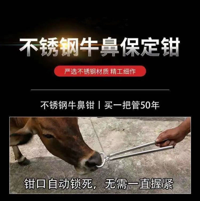 牛鼻圈牛鼻环不锈钢金属养牛大号牛鼻子钳子免打孔牵引设备