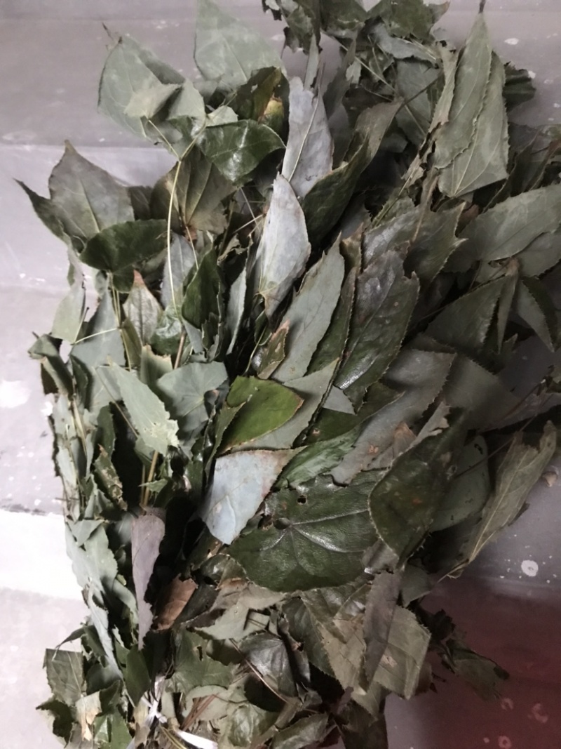 淫羊藿野生淫羊藿小叶圆淫羊藿块茎