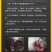 塑料牛鼻环牛鼻圈牛鼻钳子不锈钢设备器械打孔穿孔夹牛鼻子