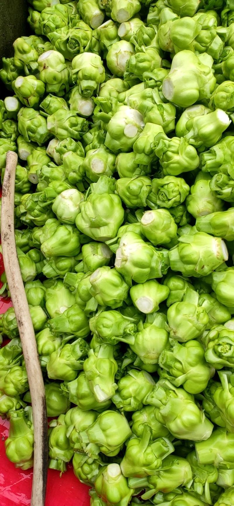涪陵榨菜