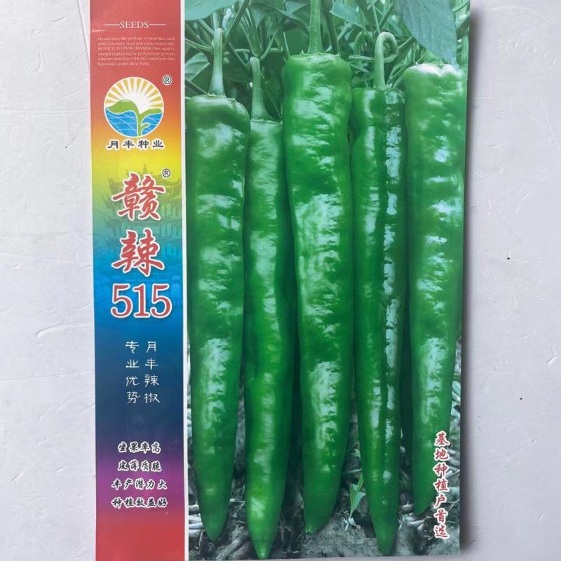 批发各种辣椒种子