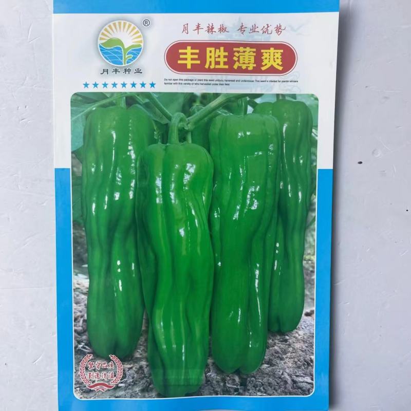批发各种辣椒种子