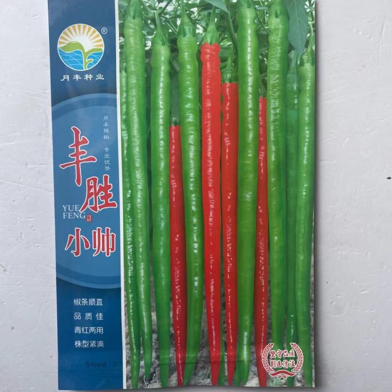 批发各种辣椒种子