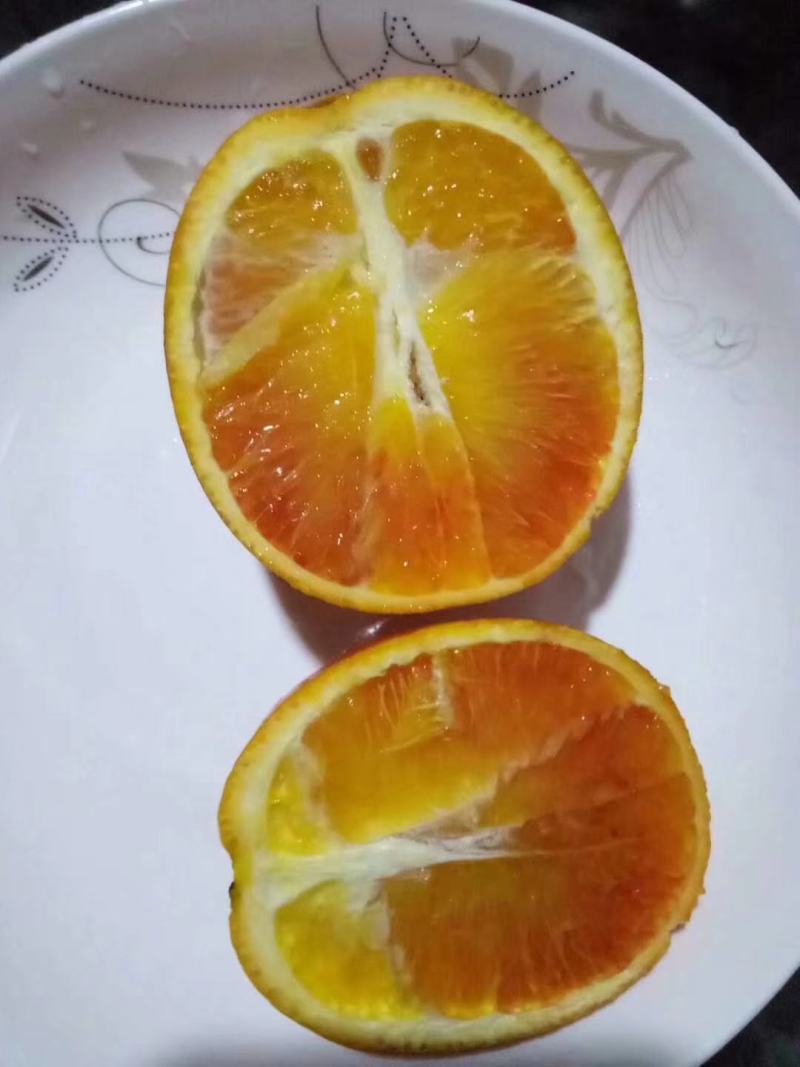 四川自贡优质塔罗科血橙
