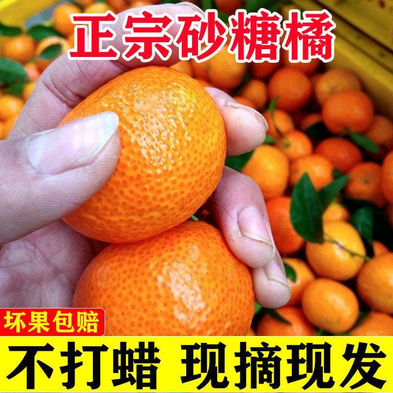 广西砂糖橘货源充足沙糖桔产地直发糖度高，新鲜随行就市