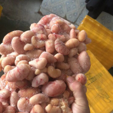 大量供应鸡腰子厂家直销质量保证，支持视频看货