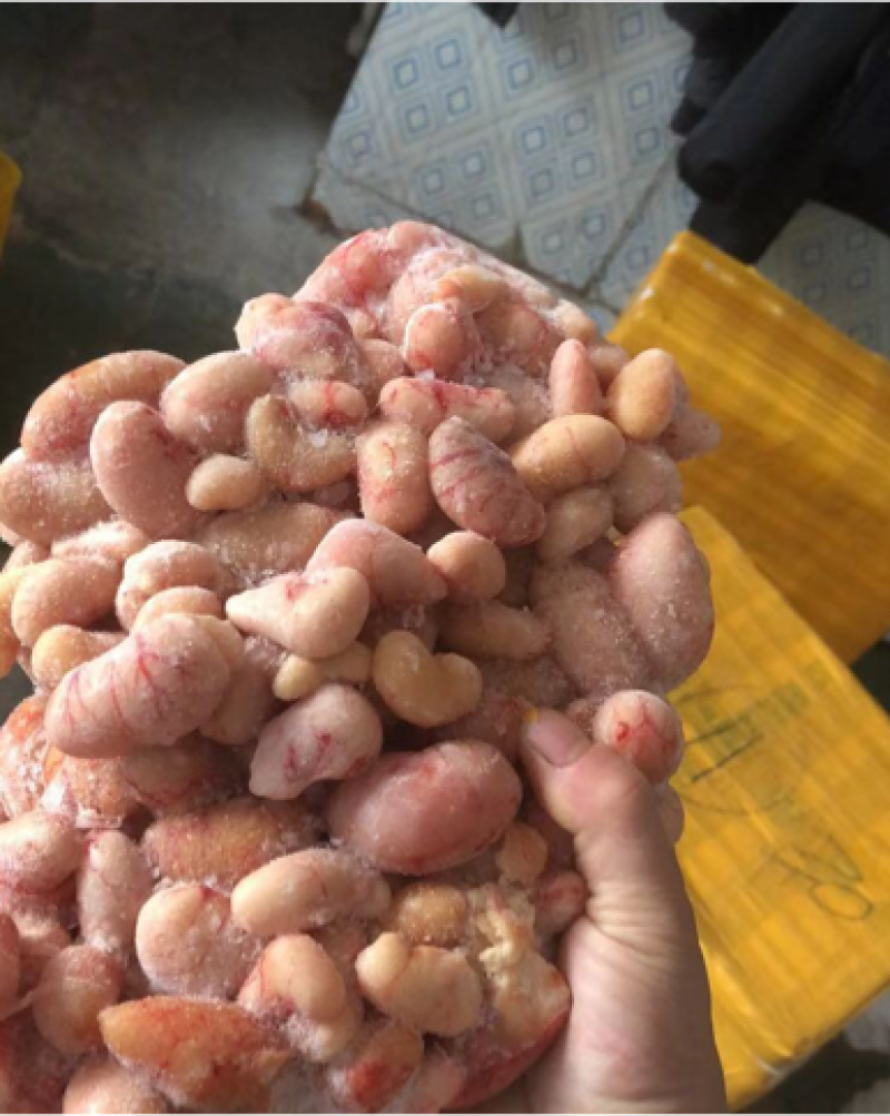 大量供应鸡腰子厂家直销质量保证，支持视频看货