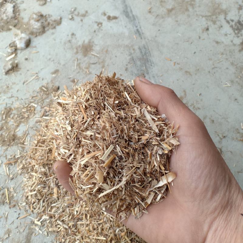 芦苇草料颗粒