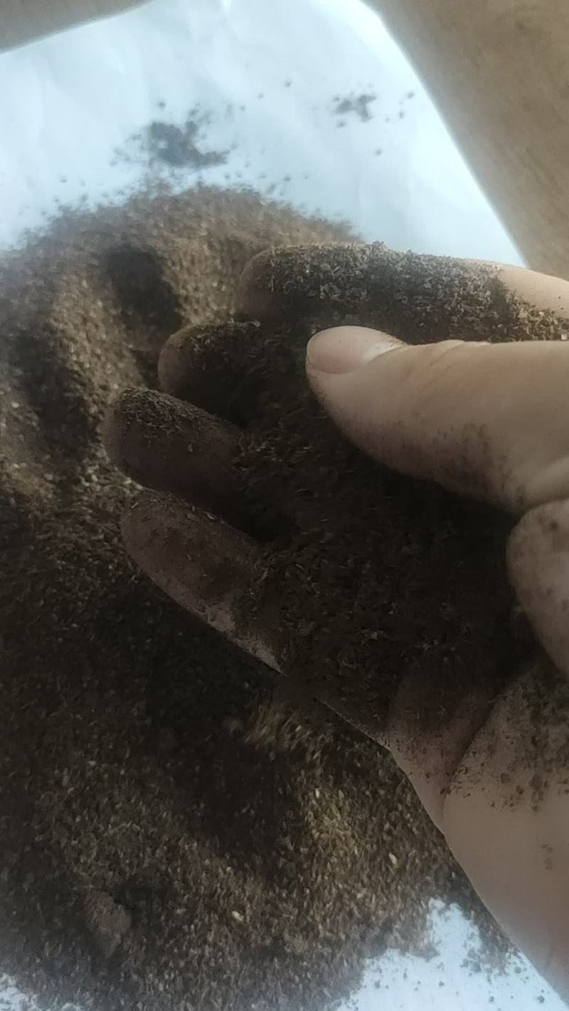 烘干白酒糟，浓香，酱香，五粮液，泸州，茅台，古井，迎驾！