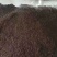 烘干白酒糟，浓香，酱香，五粮液，泸州，茅台，古井，迎驾！