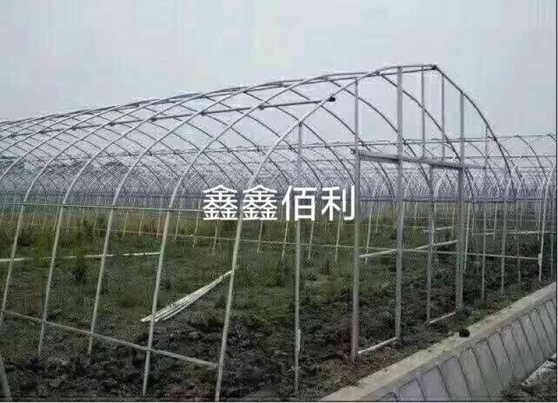 厂家直销蔬菜冷棚拱形大棚水果冷棚育苗冷棚
