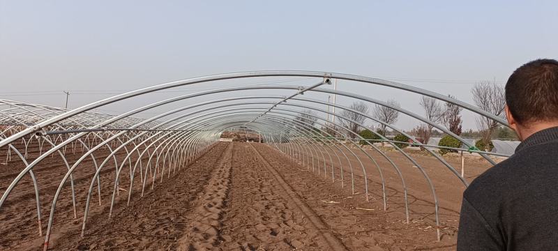 厂家直销蔬菜冷棚拱形大棚水果冷棚育苗冷棚