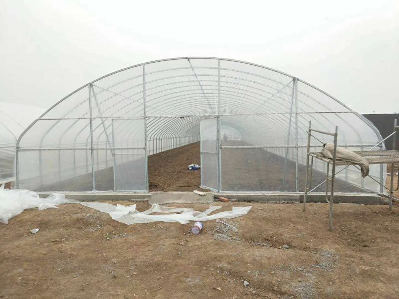 厂家直销蔬菜冷棚拱形大棚水果冷棚育苗冷棚