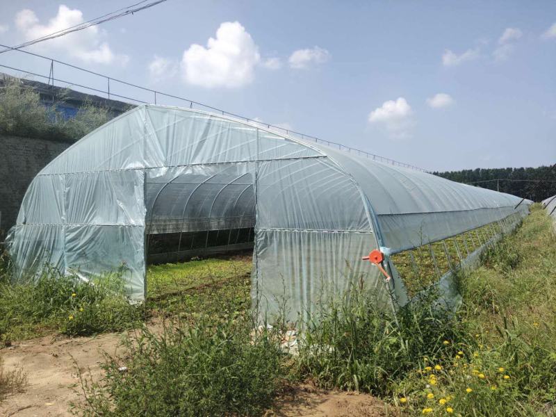 厂家直销蔬菜冷棚拱形大棚水果冷棚育苗冷棚