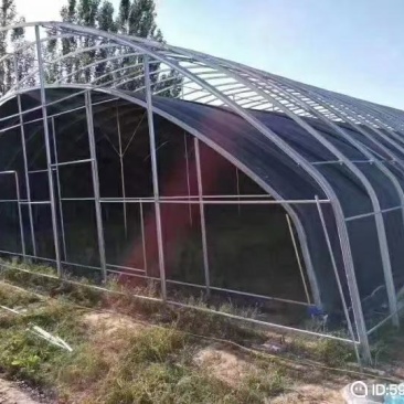 厂家直销蔬菜暖棚果木暖棚拱形暖棚定尺定做