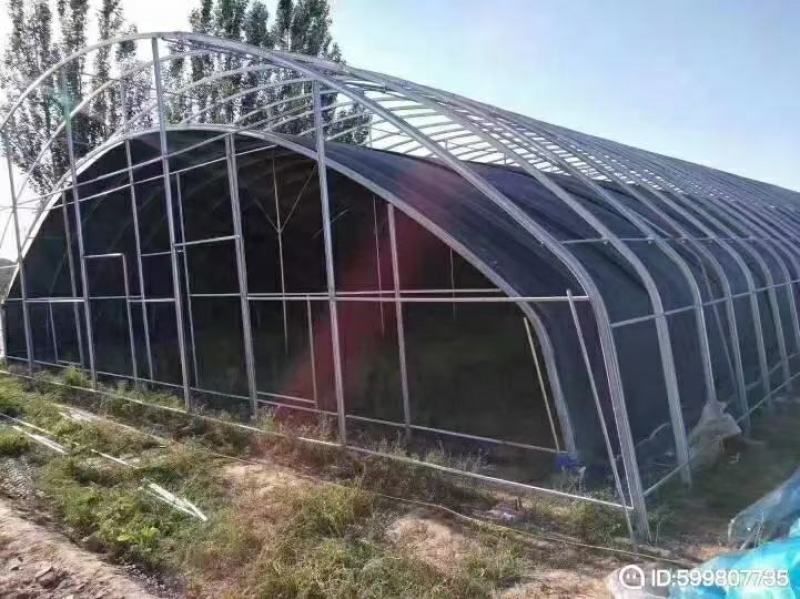 厂家直销蔬菜暖棚果木暖棚拱形暖棚定尺定做