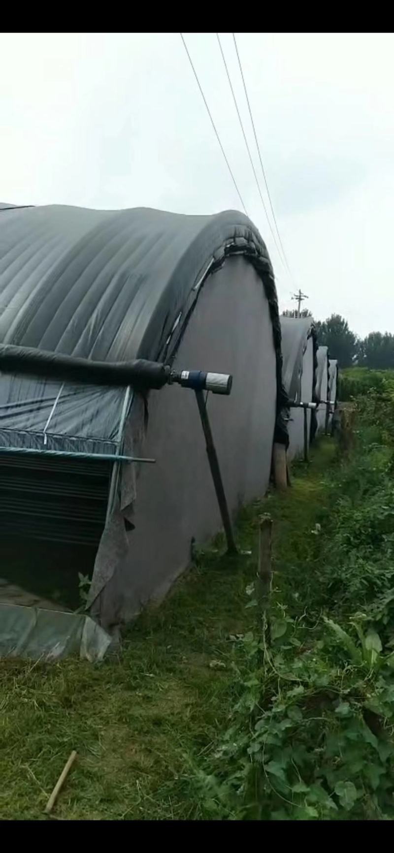 厂家直销蔬菜暖棚果木暖棚拱形暖棚定尺定做