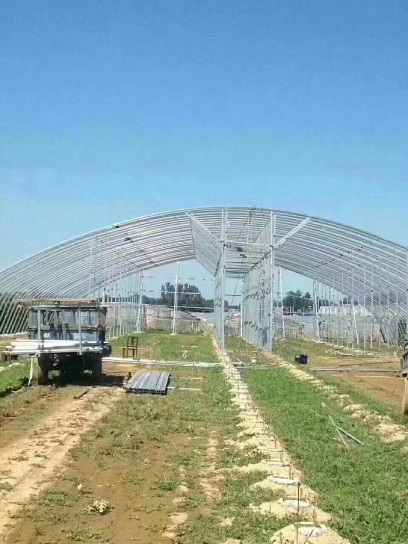 厂家直销蔬菜暖棚果木暖棚拱形暖棚定尺定做