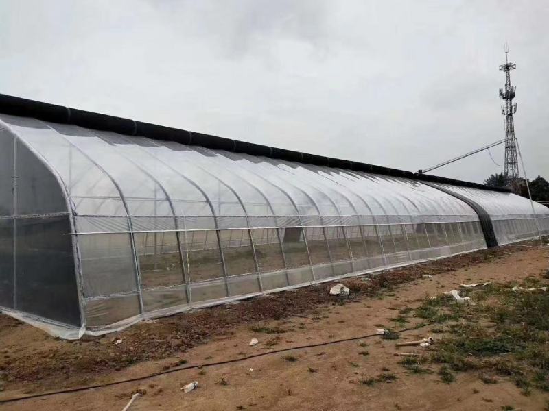 厂家直销蔬菜暖棚果木暖棚拱形暖棚定尺定做