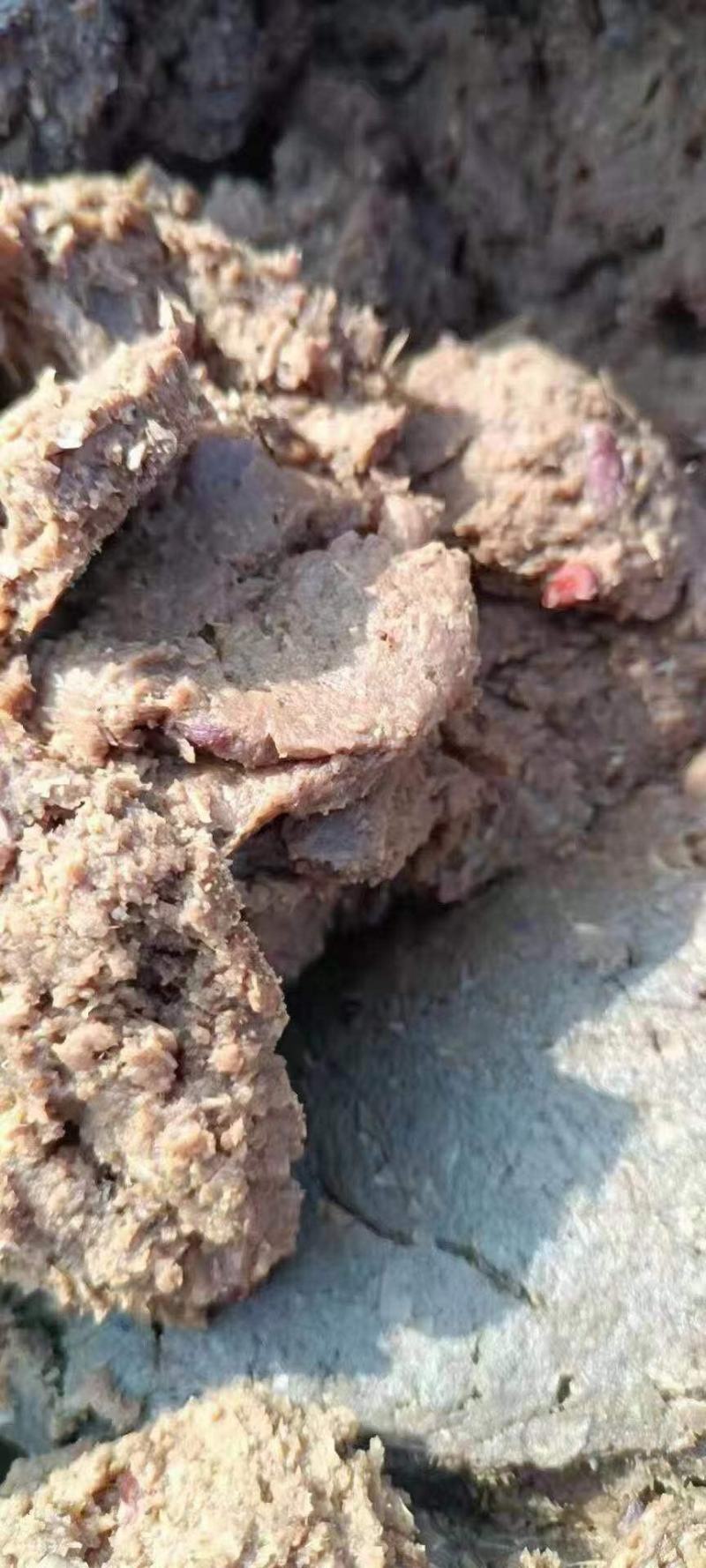 苹果渣，育肥牛羊猪，便宜，糖分高，膳食纤维