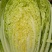 山东平度黄心打白菜，有需要联系我