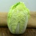 山东平度黄心打白菜，有需要联系我