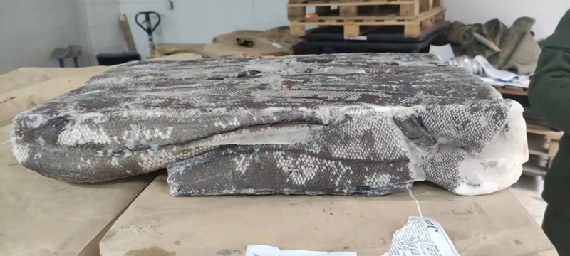 鳕鱼整条鳕鱼鳕鱼原料江苏海鲜水产批发鳕鱼
